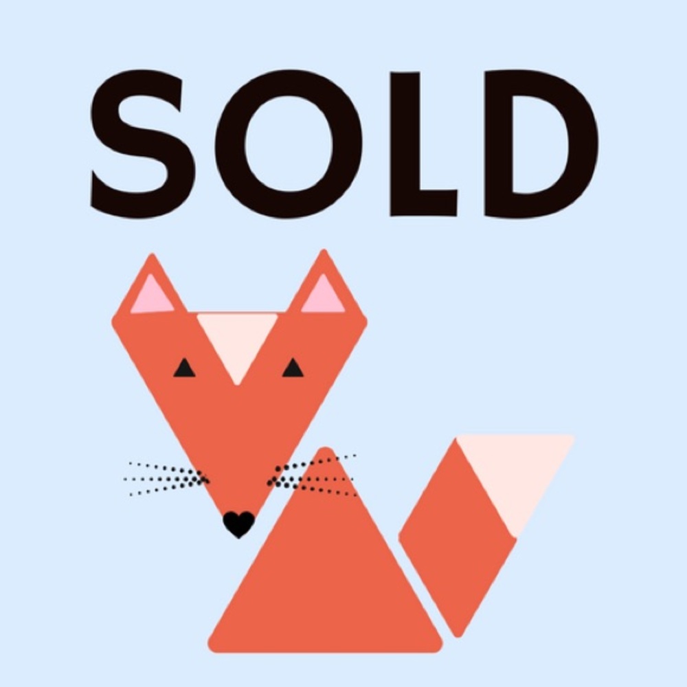 🦊 FOX PARTITIANS🦊